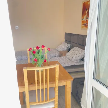 ホームステイ Wiosenna *