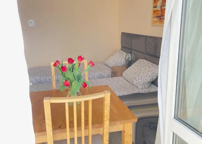 ホームステイ Wiosenna *