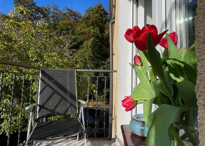 Wiosenna * Kolobřeh